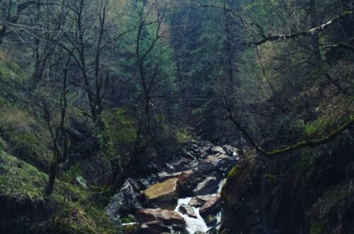 How I Completed the Kheerganga Trek After Getting Lost - Crossing the Parvati River