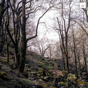 Lost on the Kheerganga Trek: A First-Timer’s Himalayan Misadventure