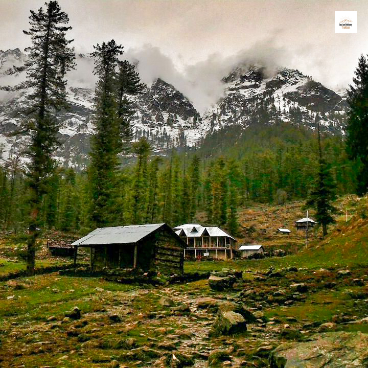 Lost on the Kheerganga Trek: A First-Timer’s Himalayan Misadventure - Beautiful cottages of Kutla!