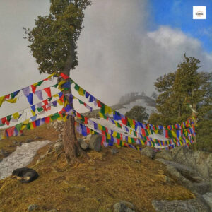 My Triund Trek Story - The view of snowline point (also known as Laka Got) which is some 3-4 km above Ground and also acts as the second stop of Indrahar Pass trek.