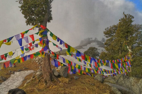 My Triund Trek Story - The view of snowline point (also known as Laka Got) which is some 3-4 km above Ground and also acts as the second stop of Indrahar Pass trek.