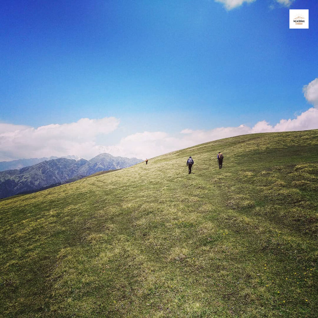 Standing inside Ali Bugyal during the Roopkund Trek