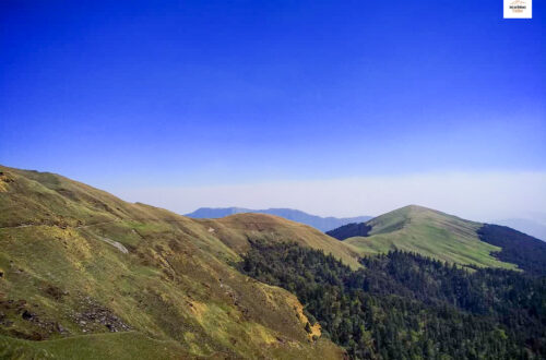 The view of Ali Bugyal seen all the way from the Bedni top during the Roopkund Trek!