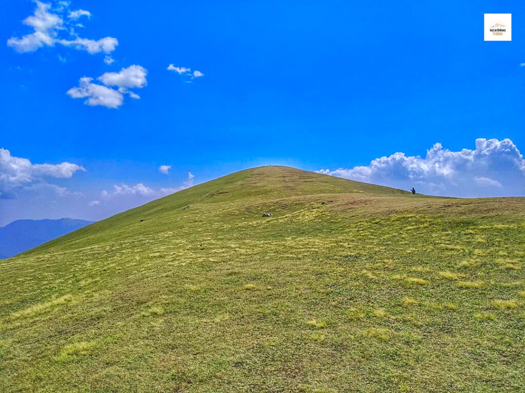 The beautiful & vast Ali Bugyal from my Roopkund Trek