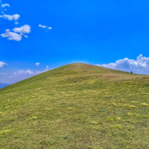 The beautiful & vast Ali Bugyal from my Roopkund Trek