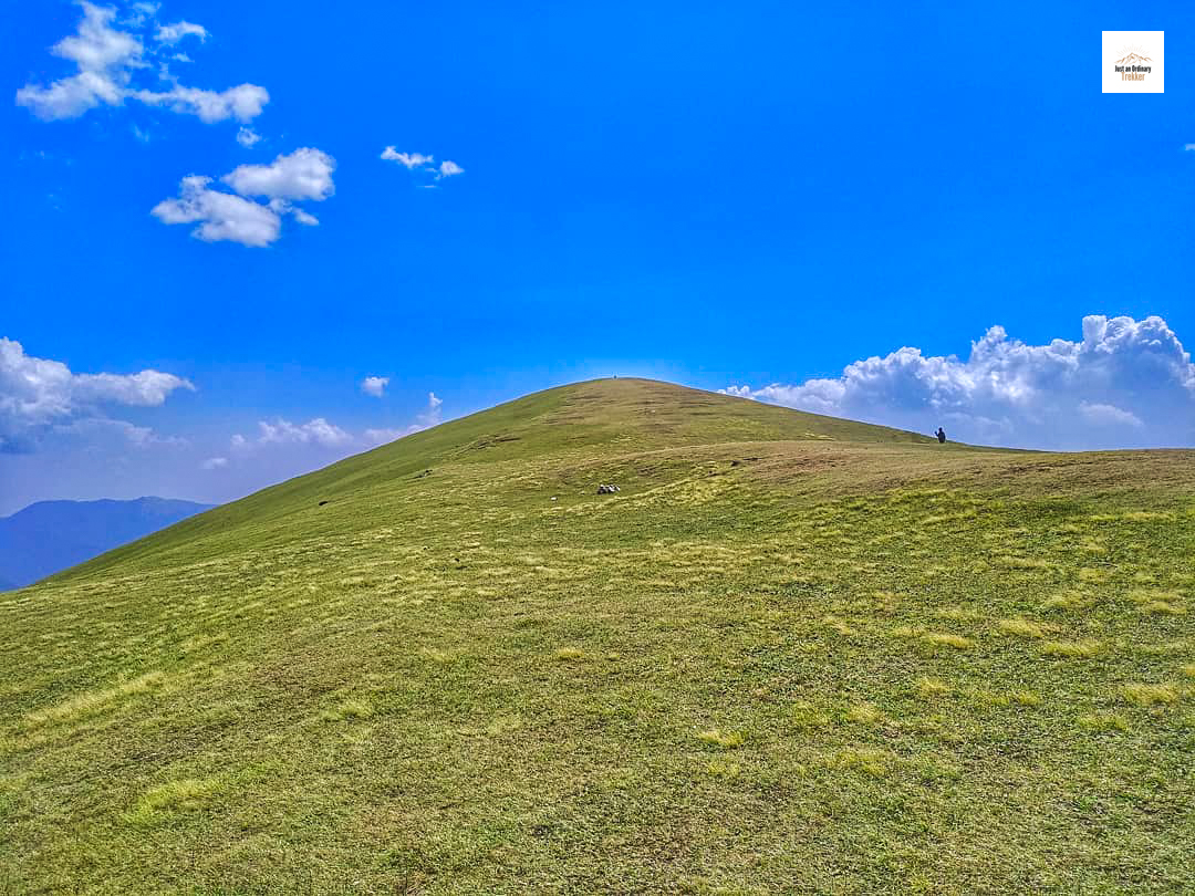 The beautiful & vast Ali Bugyal from my Roopkund Trek