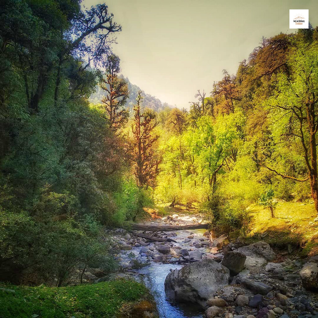 Neel Ganga River before entering Wan during the last day of Roopkund Trek