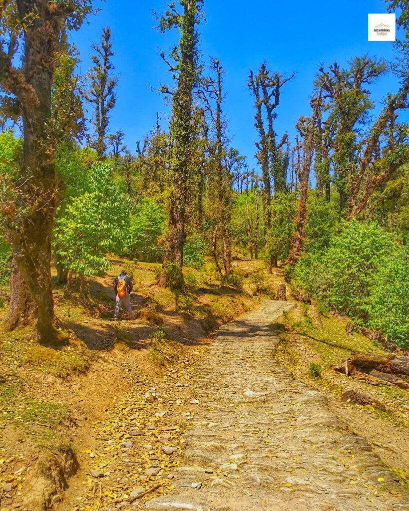 The last stretch of the Roopkund Trek - Entering Wan