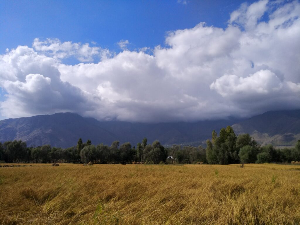 Conquering Nichnai Pass: The Gateway to Kashmir’s Great Lakes - The first glimpse of Kashmir when driving to Sonmarg from Srinagar!