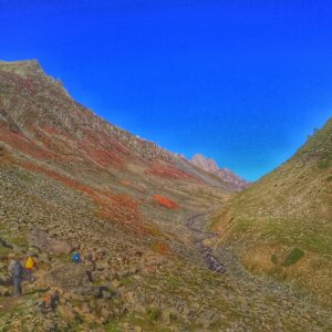 Conquering Nichnai Pass: Gateway to Kashmir Great Lakes Trek - The trail to Nichnai Pass bursts into life with colours at every turn!