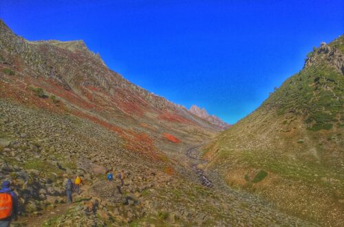 Conquering Nichnai Pass: Gateway to Kashmir Great Lakes Trek - The trail to Nichnai Pass bursts into life with colours at every turn!