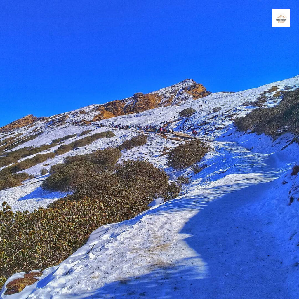The scenic trail that winds its way to Tungnath Temple and the summit of Chandrashila.