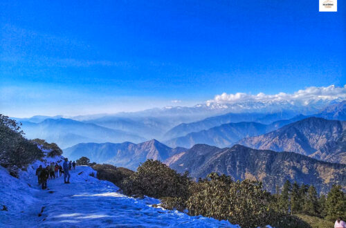 The Tungnath-Chandrashila trek truly defines "When the trail is as beautiful as the views surrounding it!" 🏔️