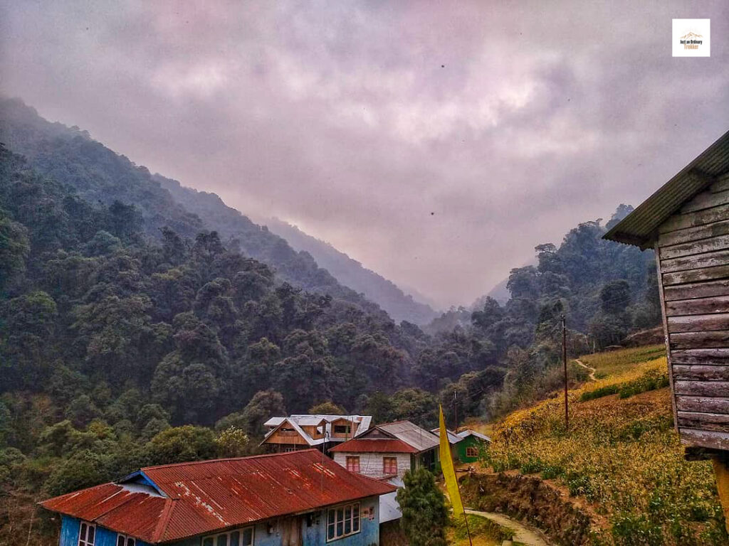 The view from Timburey with Singalila National Park all around!